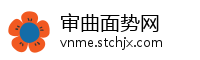 审曲面势网